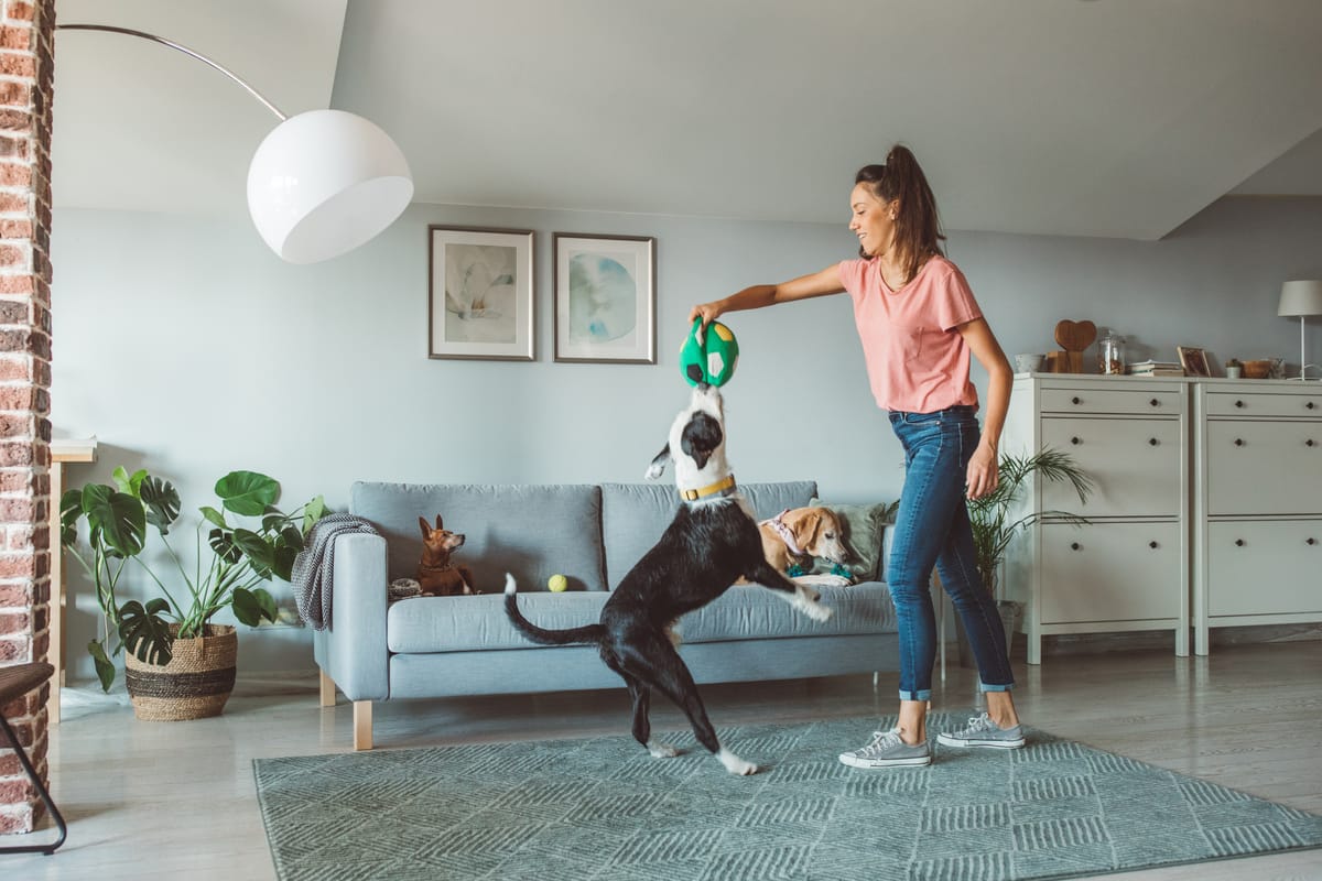 10 Best Dropshipping Products for June 2026
