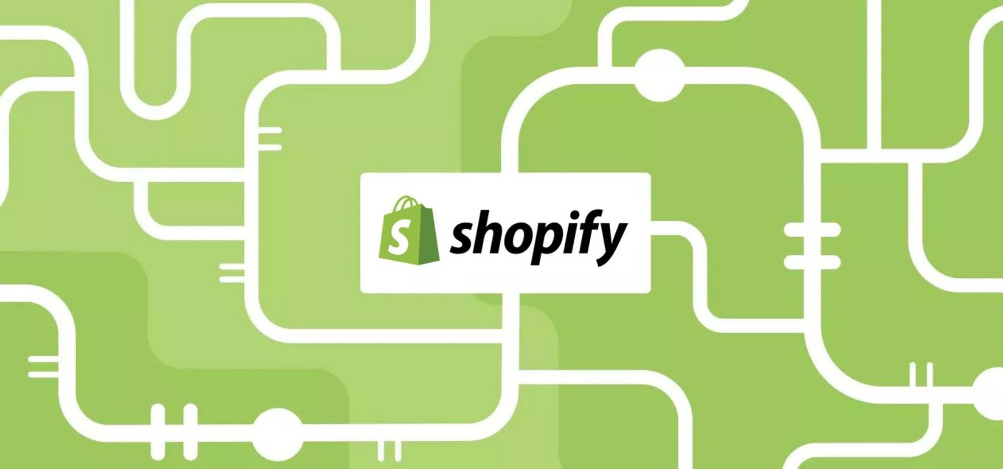 buckydrop-chinese-dropshipping-expert