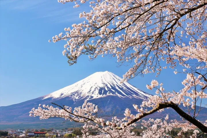 Taobao Japan Guide:How To Buy From Taobao In Japan